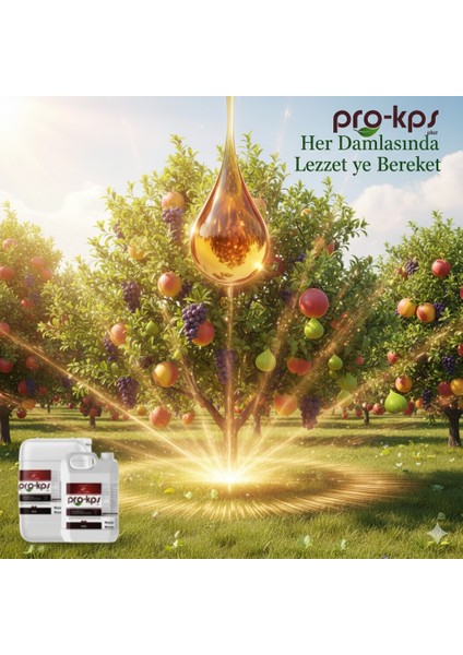 Luxor Kps K₂o:25 So₃:42 – Potasyum Tiyosülfat (Kts) Sıvı Gübre 1 Lt – Yüksek Potasyum ve Kükürt Içeriği modelleri