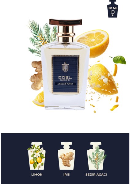 Absolute Power 50 ml Erkek Parfümü fiyatları