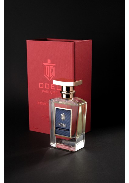 Absolute Power 50 ml Erkek Parfümü fırsatları
