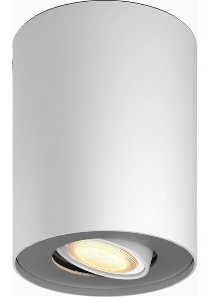 Hue White Ambiance Pillar 1 Spot Extension Akıllı Spot Lamba fiyatları