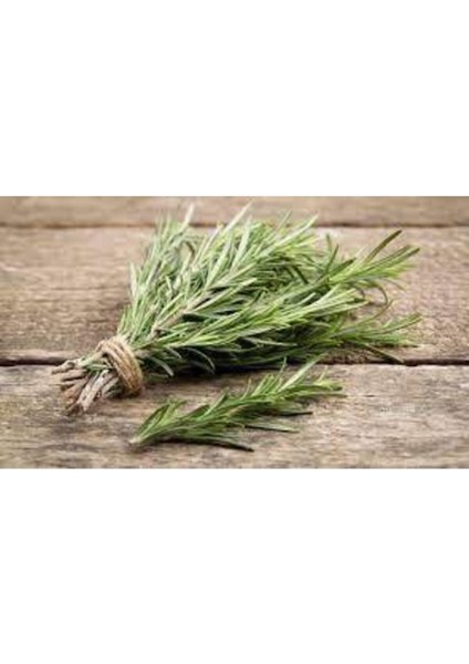 10 Adet Nadir Biberiye Bitkisi Tohumu fiyatları