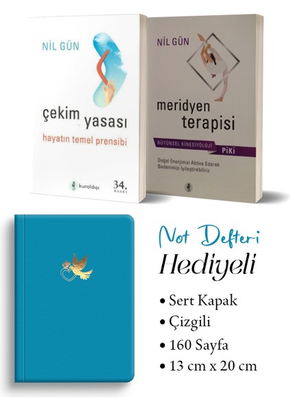 Çekim Yasası - Meridyen Terapisi