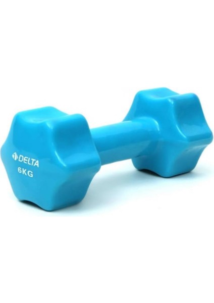 6 kg Pvc Dambıl Ağırlık