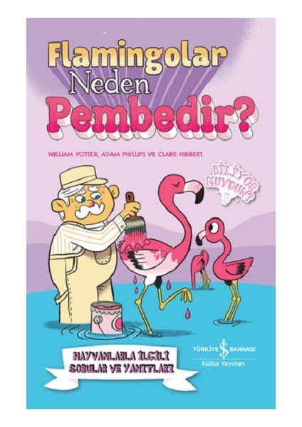 Flamingolar Neden Pembedir? Hayvanlarla Ilgili Sorular ve Yanıtları