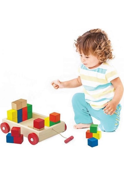 Playwood Ahşap Renkli Küp Bloklu Araba 312 fiyatları