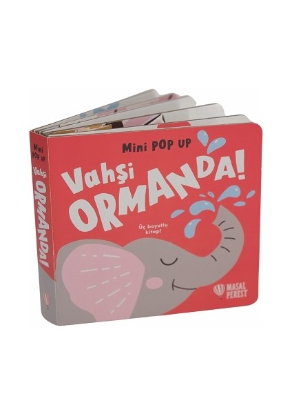 Vahşi Ormanda - Mini Pop Up