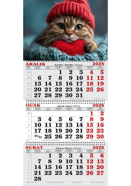 2026 Yılı Gemici Takvimi- Kırmızı Bereli Kedi