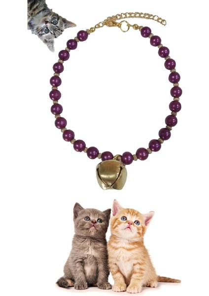 4'lü Set Evcil Hayvan Takı Kolye Tasma 33cm Oyun Oltası Tüy Toplama Temizleme Eldiveni Tırnak Makası indirimleri