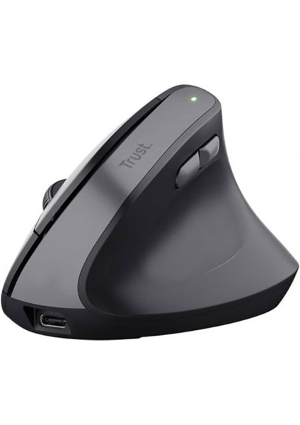 TM270 Ergonomik Kablosuz Mouse-Syh