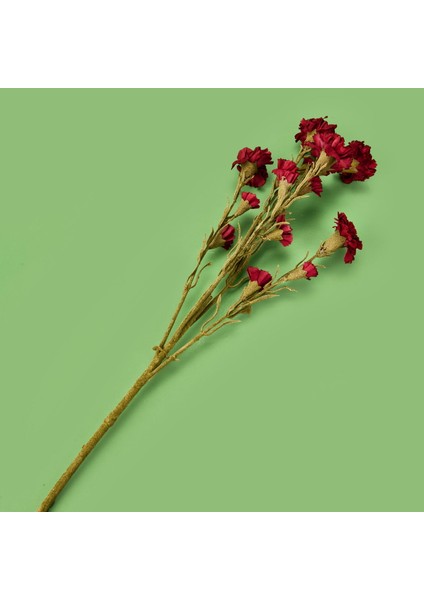 Deco Karanfil Dal Çiçek - Bordo - 68 cm fiyatları