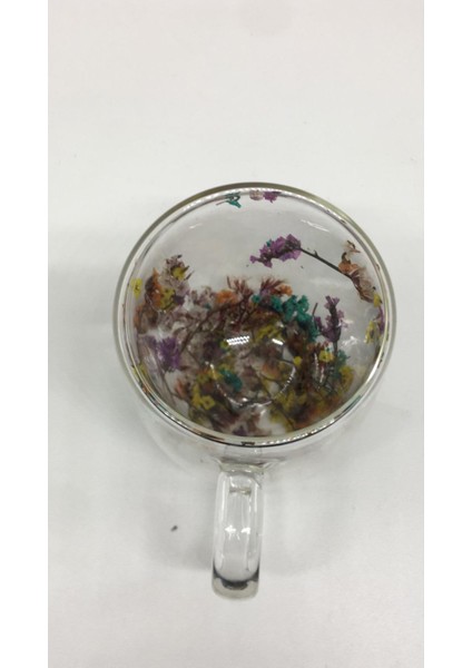 Isıya Dayanıklı Borosilikat Çift Cidarlı Kurutulmuş Canlı Çiçekli Kupa fırsatları