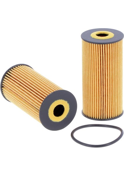 YAG FILTRESI MEGANE II-III-IV TALISMAN ESPACE V MOTRIO 8660003043