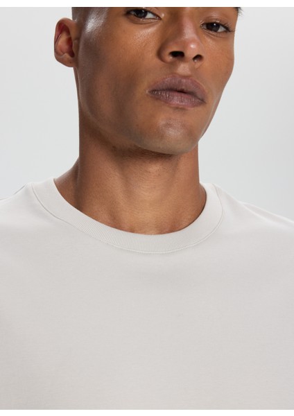 Bisiklet Yaka Taş Erkek T-Shirt ACE482510267_TAS