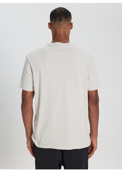 Bisiklet Yaka Taş Erkek T-Shirt ACE482510267_TAS