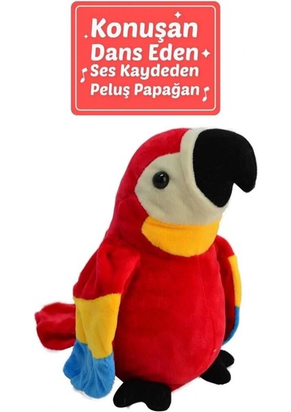 Buğz 50105 25CM Konuşulanı Tekrarlayan Papağan -Hly modelleri