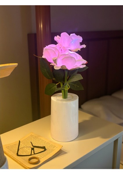 Güllü Dekoratif LED Işıklı Lamba 27 cm x 8 cm fiyatları