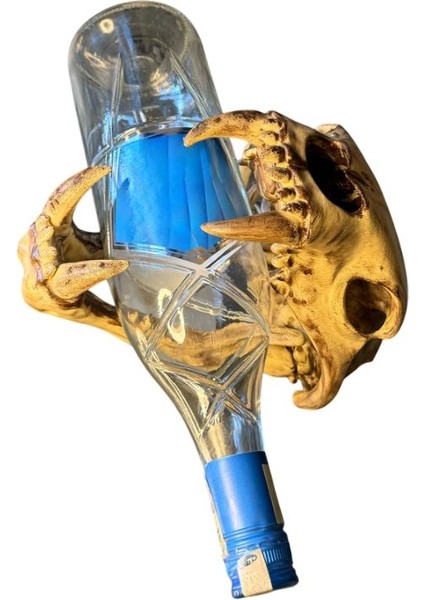 Dinozor Iskeleti Kafatası (Kuru Kafa) – El Boyaması – Dekoratif Koleksiyon Objesi ve Masa Üstü Dekor fırsatları