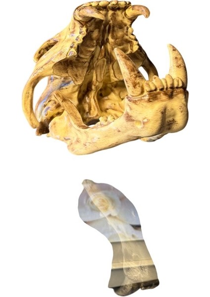 Dinozor Iskeleti Kafatası (Kuru Kafa) – El Boyaması – Dekoratif Koleksiyon Objesi ve Masa Üstü Dekor