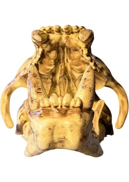 Dinozor Iskeleti Kafatası (Kuru Kafa) – El Boyaması – Dekoratif Koleksiyon Objesi ve Masa Üstü Dekor