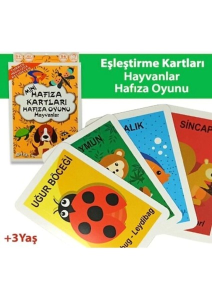 Oyun Star Hafıza Kartları Eşleştirme Eşini Bul Oyunu 3'lü Set