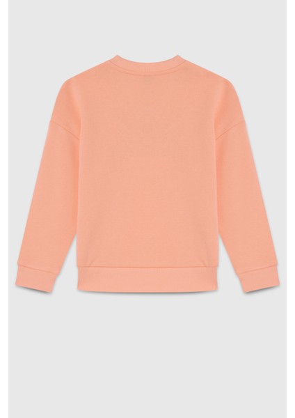 Kız Çocuk Sweatshirt 26125 4/14 Yaş fiyatları