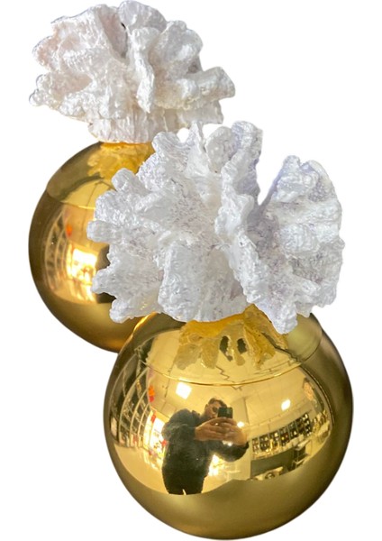 Gold Renk Dekoratif Mercan Obje 2’li Set – Beyaz ve Gold Renk Seçenekli Lüks Masa Üstü Ev Dekoru indirimleri