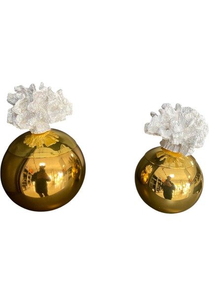 Gold Renk Dekoratif Mercan Obje 2’li Set – Beyaz ve Gold Renk Seçenekli Lüks Masa Üstü Ev Dekoru