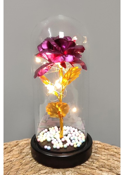 Çiçek Işıklı LED Fanus