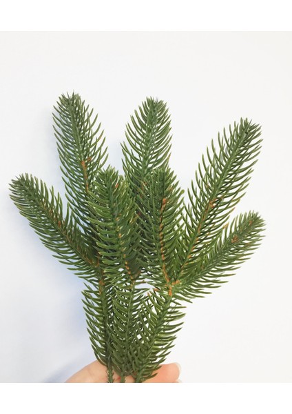 Yılbaşı Çam Dalı Ithal Gerçek Görünümlü 1 Adet fırsatları