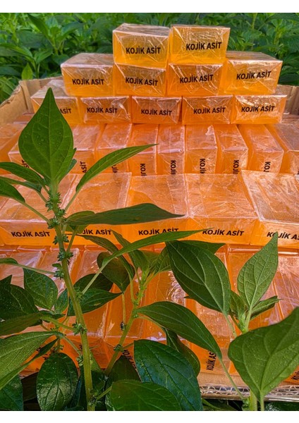 Kojik Asit Sabunu (Adet) fırsatları