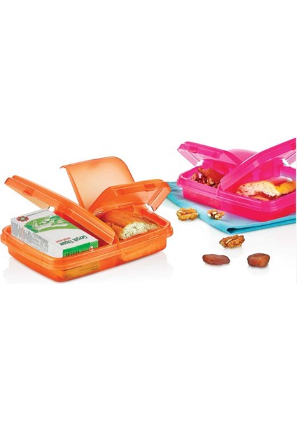 3 Bölmeli Plastik Beslenme Kabı | Okul Için Pratik ve Güvenli modelleri