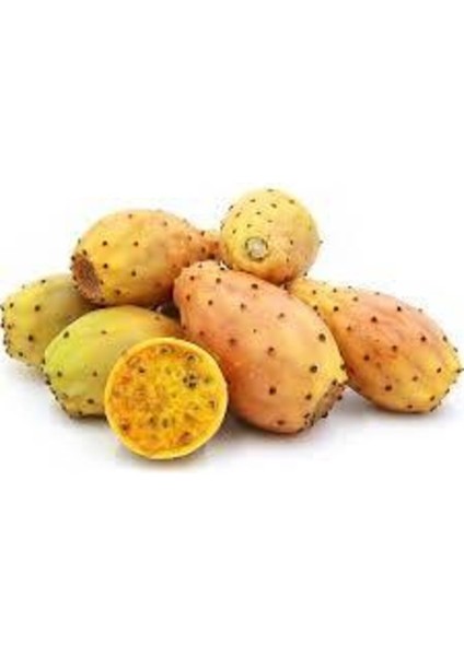 5 Adet Dikenli Hint Incir Frenk Inciri Tohumu