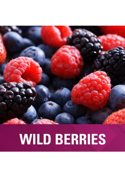 Chloraseptic Max Sore Throat Fast Actıng 15 Lozenges Wild Berrıes fiyatları