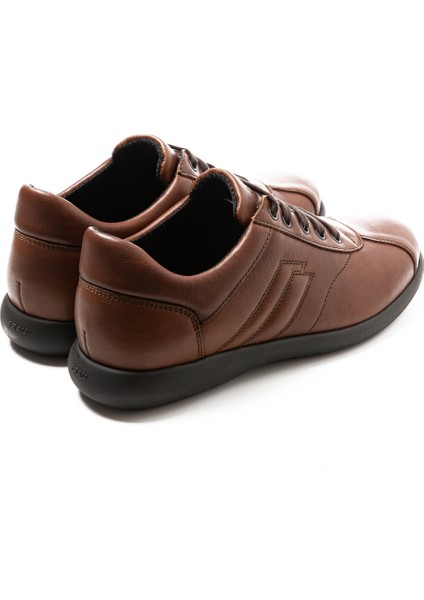 Erkek Oxford ( Klasik) 27L3 Frau Surf Legno fırsatları