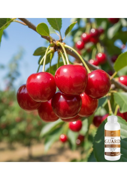 Progard 1 Lt – Bitki Yüzey Koruyucu ve Temizleyici | Güneş Yanığı ve Çatlamaya Karşı Koruma, Yüzey Parlatıcı fiyatları