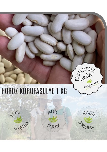 Kozçeşme Horoz Kuru Fasulyesi 1 kg (Tarla Kuşu, Ilaçsız, Doğal Tarım, Yeni Hasat)