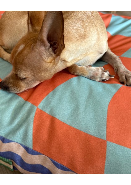 Meadly Minder Kedi ve Köpek Yatağı