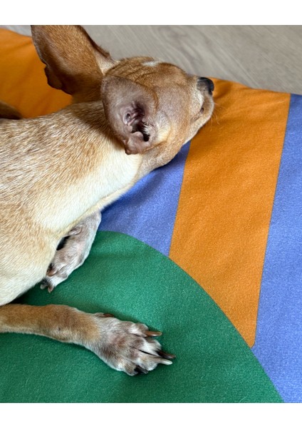 Meadly Minder Kedi ve Köpek Yatağı