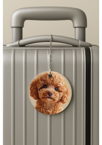 Pleksi Zincirli Bavul Etiketi Seyahat Tatil Için Tasarım Valiz Etiketi Kaniş