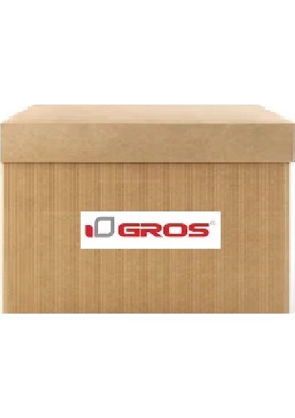 13295 Ic Aks Korugu 495421R201