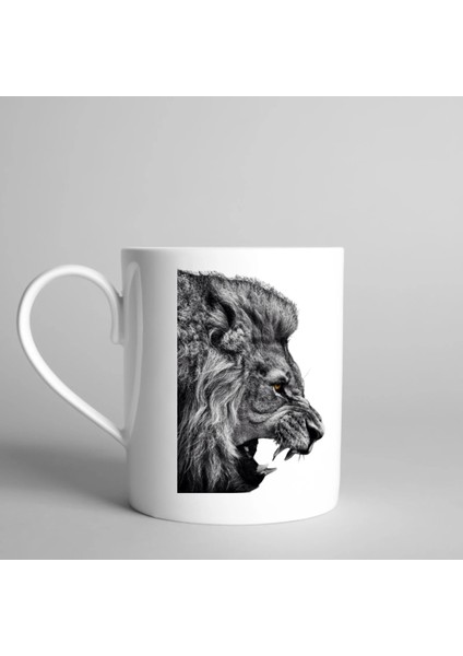 Galatasaray Kara Kalem Baskılı Kupa Bardak fiyatları