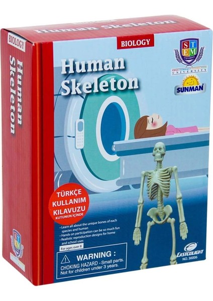 Bfs Bilim Seti : Insan Iskeleti fiyatları