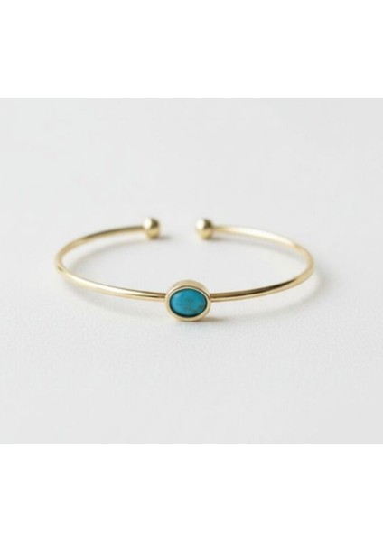 Çelik 14 K Noa Bilezik