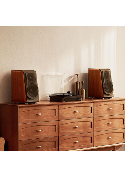 S1000W Kablosuz Hi-Fi Raf Tipi Wi-Fi & Bluetooth Hoparlör 120W Rms (Apple Airplay, Amazon Alexa, Tıdal Connect, Spotify Connect) indirimleri