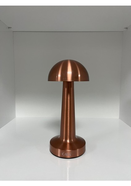 Bakır Rengi Lizbon Şarjlı Masa Lambası fiyatları