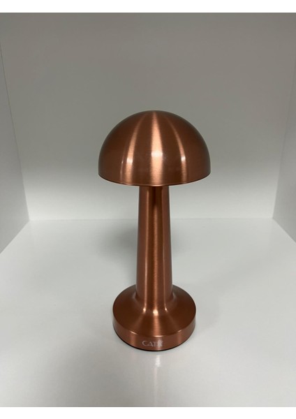 Bakır Rengi Lizbon Şarjlı Masa Lambası modelleri