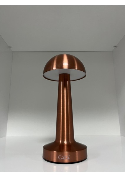 Bakır Rengi Lizbon Şarjlı Masa Lambası fırsatları