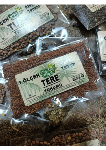Tere Tohumu 1 Ölçek fiyatları
