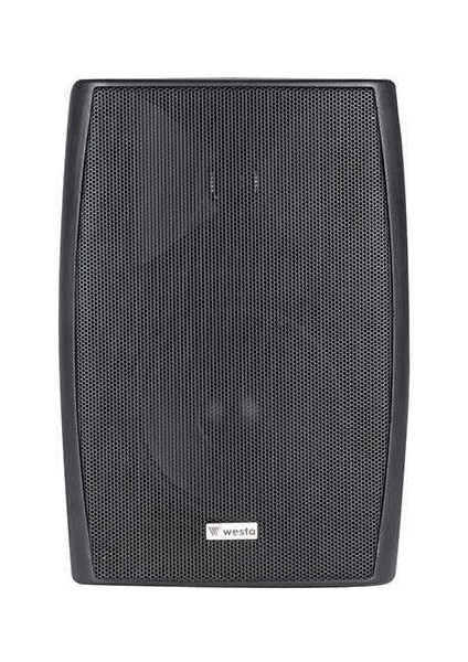 WS-55TB 13CM Plastik Kabin Siyah Hoparlör