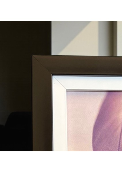 Çerçeve fiyatları